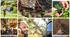 Outdoor activities (vocabulary).  Present Perfect.