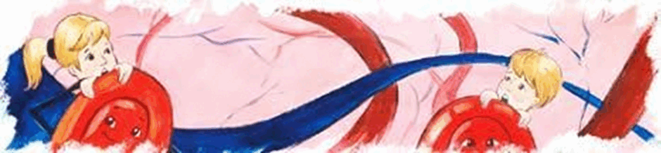080003he-8fbe-940x218.png