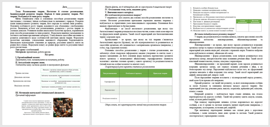 080003yy-d96b-940x443.png
