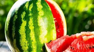 § 76. Генетично модифіковані організми