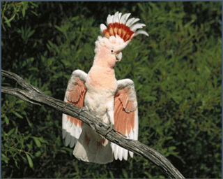 080004pw-ad9d-320x256.png