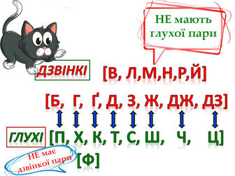 0800051m-6b79-336x252.jpg