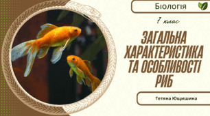 Загальна характеристика та особливості риб. 7 клас. НУШ