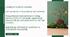 Симбіоз та його форми. Організм як середовище мешкання.  Поширення паразитизму серед різних груп організмів. Адаптації паразитів до мешкання в організмі хазяїна.  Відповідь організму хазяїна на оселення паразитів.