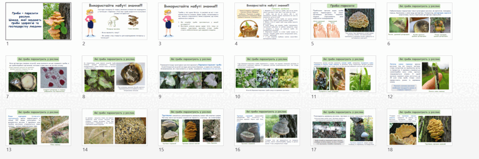 08000648-a959-940x313.png