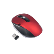 0800067y-3dcb-182x182.png