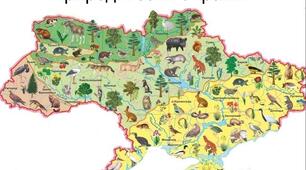 Рослини, тварини і гриби рідного краю