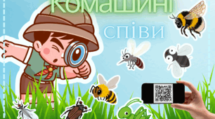 Дидактична гра "Комашині співи" (звуки комах)
