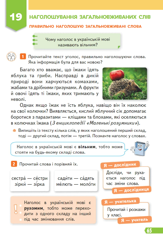 080008sd-a867-635x938.png