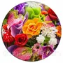https://fs08.vseosvita.ua/080008u3-1daa-90x90.webp