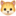 🐱