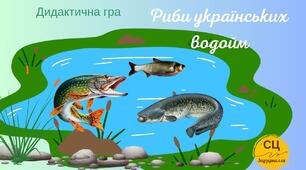 Дидактична гра "Риби українських водойм"