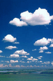 08000c5d-d72d-213x326.png
