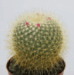08000c94-58ec-105x107.png