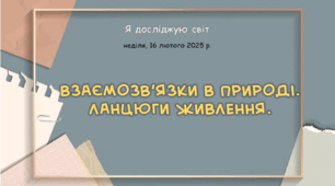 Презентація "Взаємозв’язки в природі. Ланцюги живлення. "