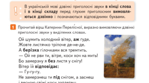 Вимова і написання слів із дзвінкими приголосними звуками в кінці слова і складу 