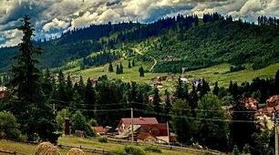 Н.Малетич "Усе шкереберть.І в цьому є сенс"