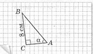 08000dh1-d8ce-198x115.png