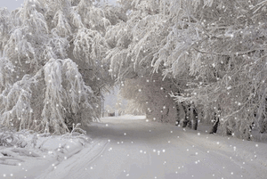 08000f2z-082e-300x201.gif