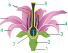08000fu9-0315-137x107.png