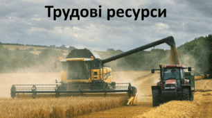 Презентація до уроку: "Трудові ресурси"