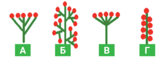 08000g9k-8df2-333x118.png