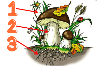 08000h9e-3791-378x258.png