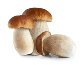 08000hz8-9b74-163x128.png