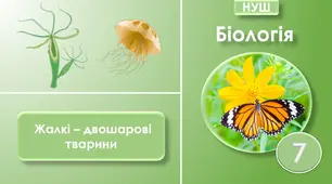 Жалкі