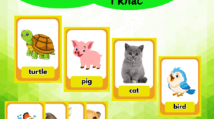 Флеш картки до підручника “Англійська мова” О. Карпюк Unit 4. My pets 1 клас