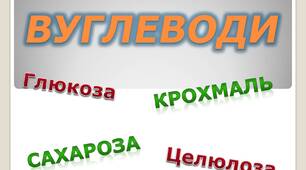  Сахароза, крохмаль і целюлоза: молекулярні формули, гідроліз