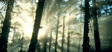 08000omx-3db7-383x180.png