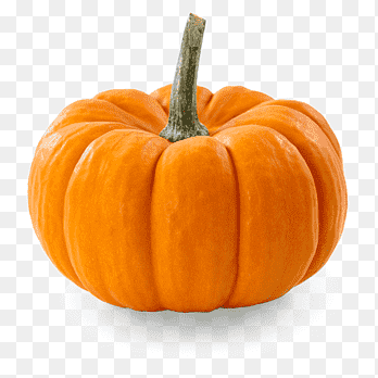 08000q7d-6502-348x348.png