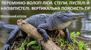 Презентація до уроку: "ПЕРЕМІННО-ВОЛОГІ ЛІСИ. СТЕПИ. ПУСТЕЛІ Й НАПІВПУСТЕЛІ. ВЕРТИКАЛЬНА ПОЯСНІСТЬ ГІР ПІВНЧНОЇ АМЕРИКИ"