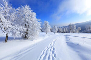 08000t89-9b62-300x200.jpg