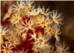 08000uq7-b568-151x109.png