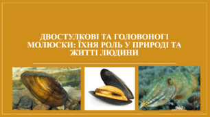 Презентація "Двостулкові та головоногі молюски: їхня роль у природі та житті людини"
