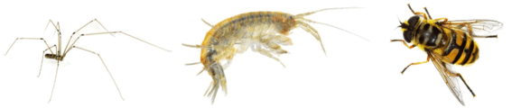 08000y3h-0f85-567x120.png