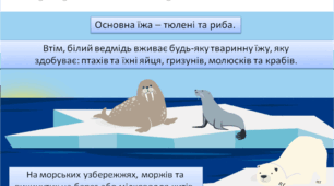 Презентація до Міжнародного дня полярного ведмедя (27 лютого)