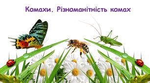 Презентація на тему: "Комахи. Різноманітність комах" 7 кл НУШ