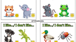 Cards "I like/I don't like..." Quick Minds 1