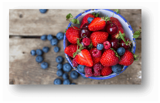 080016dp-b0d9-560x362.png