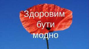 Розвиток мовлення і культура мовленнєвого спілкування/Ознайомлення з соціумом Тема: « Квітка семибарвниця»