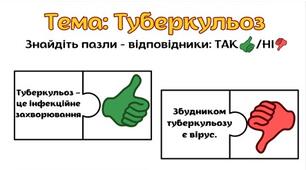 Картки-пазли з тем «Інфекційні/неінфекційні захворювання», «Безпека в Інтернеті»