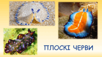 08001h0x-79c7-343x193.png