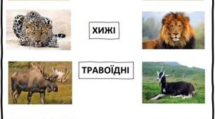 Конспект уроку "Тварини та комахи Кенії "