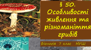 Презентація  "§ 50. Особливості живлення та різноманіття грибів"  7клас НУШ