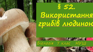 Презентація  до уроку  «§ 52. Використання грибів людиною»  7клас НУШ