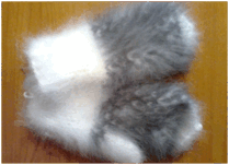 08001pi6-80f8-209x151.png