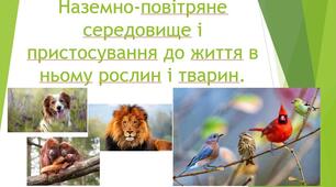 Презентація Наземно-повітряне середовище існування